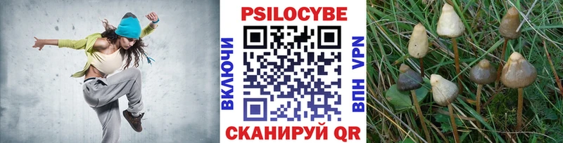 Купить где  Пионерский  Псилоцибиновые грибы ЛСД 