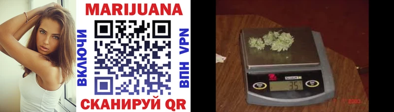 Купить где  Пионерский  Канабис планчик 
